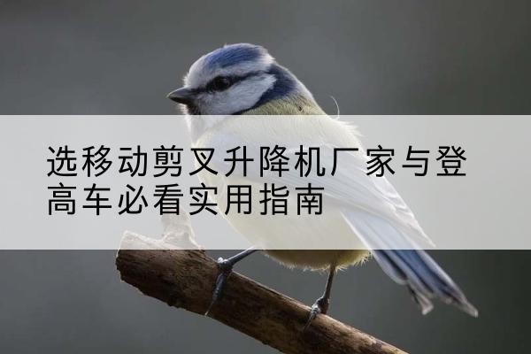 灵璧电动升降机厂家-选移动剪叉升降机厂家与登高车必看实用指南