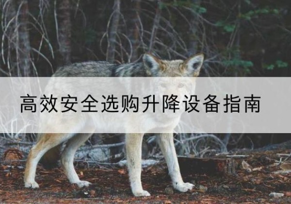 灵璧升降货梯厂家推荐-*安全选购升降设备指南
