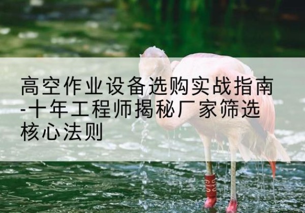 灵璧剪叉式升降机厂家-高空作业设备选购实战指南-十年工程师揭秘厂家筛选核心法则